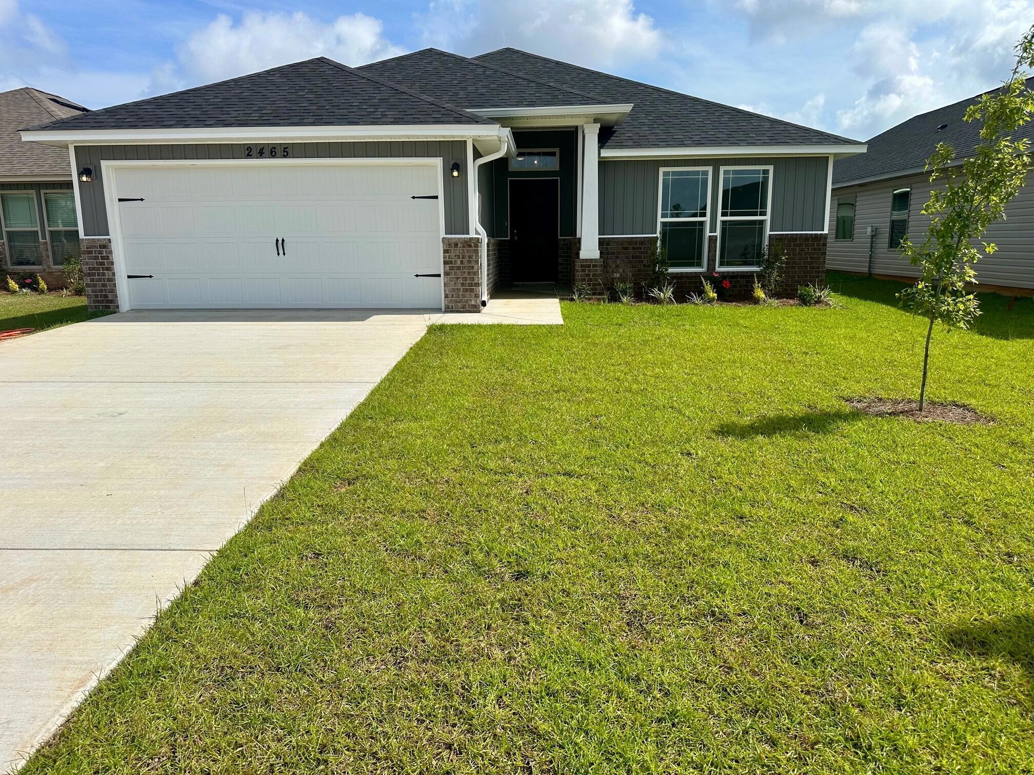 2465-privet-berry-front of house 2465-privet-berry-front of house